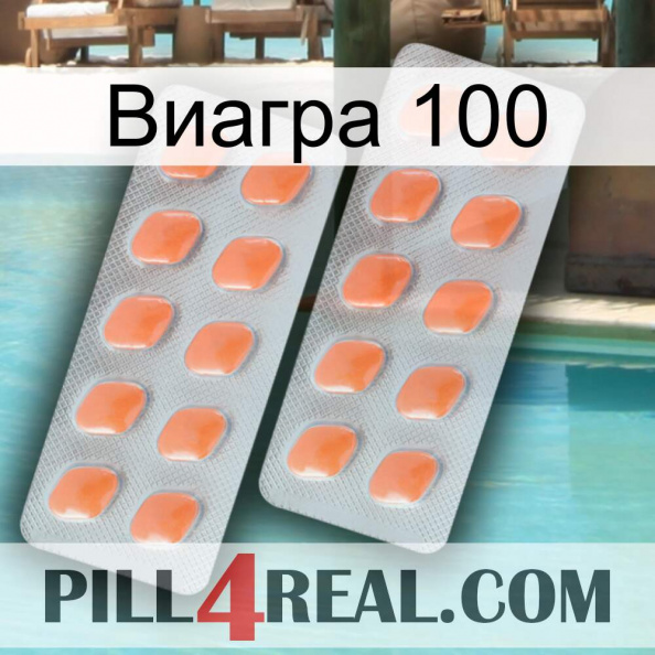 Виагра 100 27.jpg